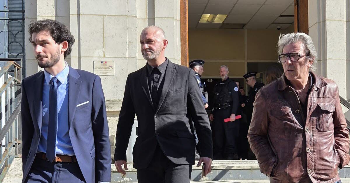 Finding 'Morsures Chien Curtis': Why Some Sources Miss The Mark